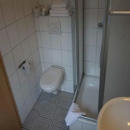 Pensionat Hotel-pension Goldene Krone Freiburg im Breisgau
