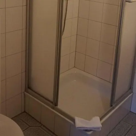 Гостевой дом Hotel-pension Goldene Krone 3*