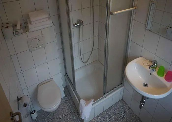 Hotel-pension Goldene Krone 3* Freiburg im Breisgau